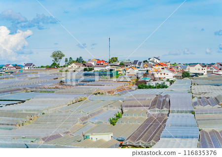 The city of Dalat. The city of Dalat. 116835376