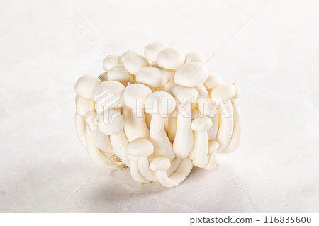 Japanese Shimeji mushroom for cooking Japanese Shimeji mushroom for cooking 116835600
