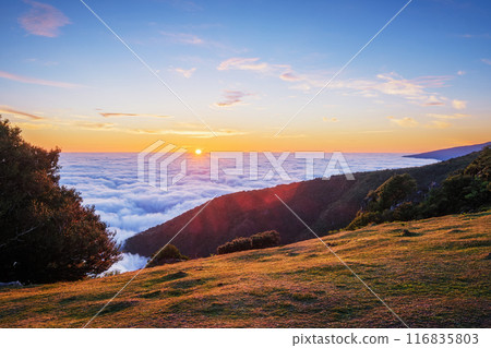 Sunrise above clouds on Madeira island, Portugal Sunrise above clouds on Madeira island, Portugal 116835803