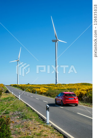 Wind generator turbines. Madeira island, Portugal 116835818