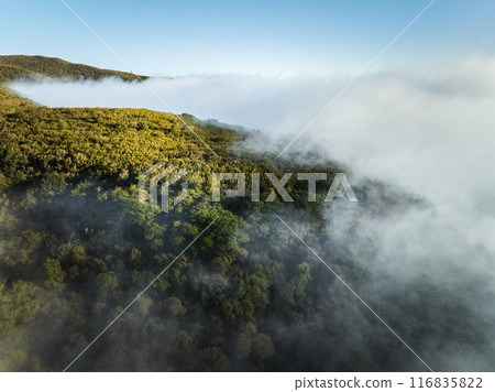Aerial view of green hills of Madeira island, Portugal Aerial view of green hills of Madeira island, Portugal 116835822