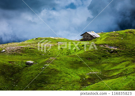 Serenity serene lonely scenery background concept 116835823