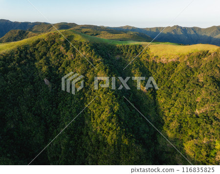 Aerial view of green hills of Madeira island, Portugal Aerial view of green hills of Madeira island, Portugal 116835825