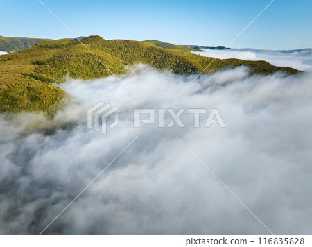 Aerial view of green hills of Madeira island, Portugal 116835828