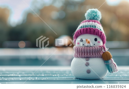 Snowman In Winter 116835924