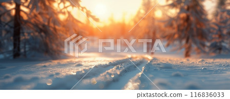 Snowy Forest Path at Sunset 116836033