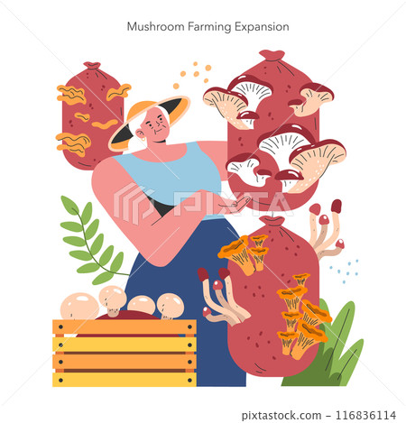 Mushroom Cultivation concept. A farmer showcasing various edible fungi, expressing the growth of mushroom farming. Sustainable agriculture and harvesting. Vector illustration. 116836114