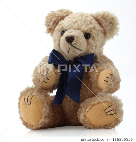 Teddy Bear with a blue bow sitting down Teddy Bear with a blue bow sitting down 116836536