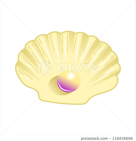 Vector illustration of an open seashell with a beautiful pearl inside on white background  116836606