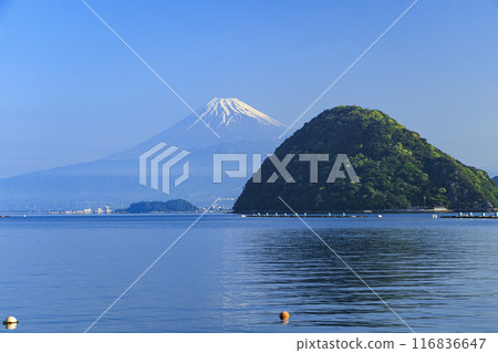 Snow-capped Mount Fuji seen from Numazu across Suruga Bay 116836647