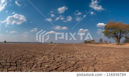 Endless stretches of dry cracked earth with a solitary tree standing as a symbol of the harsh environment Endless stretches of dry cracked earth with a solitary tree standing as a symbol of the harsh environment 116836784