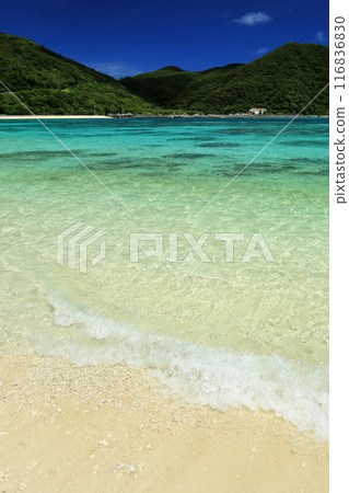 盛夏的沖繩、慶良間諸島、渡嘉敷島、阿哈倫海灘清晰度出色 116836830