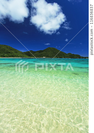 Okinawa in midsummer: Kerama Islands, Tokashiki Island, Aharen Beach with outstanding transparency 116836837