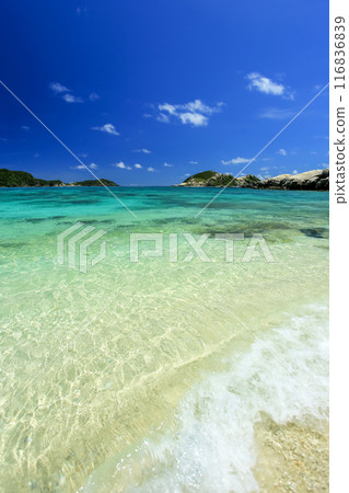 Okinawa in midsummer: Kerama Islands, Tokashiki Island, Aharen Beach with outstanding transparency Okinawa in midsummer: Kerama Islands, Tokashiki Island, Aharen Beach with outstanding transparency 116836839