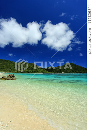 Okinawa in midsummer: Kerama Islands, Tokashiki Island, Aharen Beach with outstanding transparency Okinawa in midsummer: Kerama Islands, Tokashiki Island, Aharen Beach with outstanding transparency 116836844