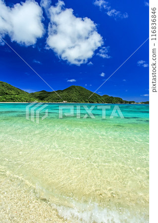 盛夏的沖繩、慶良間諸島、渡嘉敷島、阿哈倫海灘清晰度出色 116836846