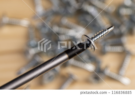 steel self-tapping screws for working with wooden products steel self-tapping screws for working with wooden products 116836885