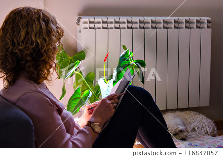 Woman studying at home, reclining on the home sofa next to the window Woman studying at home, reclining on the home sofa next to the window 116837057