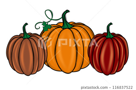 Pumpkin Doodle Set for Halloween and Thanksgiving. Autumn Harvest Collection. Fall Decoration Elements. High quality illustration Pumpkin Doodle Set for Halloween and Thanksgiving. Autumn Harvest Collection. Fall Decoration Elements. High quality illustration 116837522