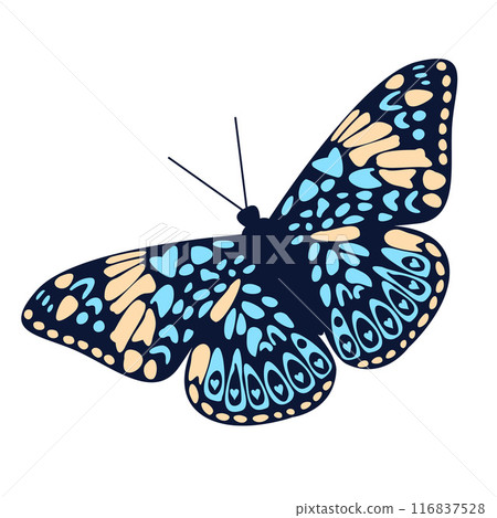 Ethereal Butterfly Silhouette. Aesthetic Art with Elegant Contours, Botanical Backdrop, Iridescent Wings for Decorative Design and Wedding Decor. Wildlife Elements. Vector illustration Ethereal Butterfly Silhouette. Aesthetic Art with Elegant Contours, Botanical Backdrop, Iridescent Wings for Decorative Design and Wedding Decor. Wildlife Elements. Vector illustration 116837528