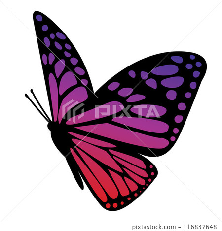 Colorful Butterfly Flying on a White Backdrop. Mythical Monarch Metamorphosis. Illustrated Garden Podaliriy Butterfly Wings. Summer Journey Decor. Vector illustration 116837648