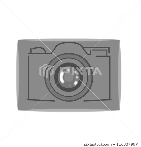 Camera logo icon gray color  116837967