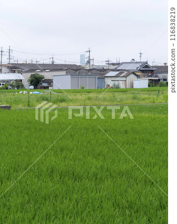 Small factories and rural scenery Small factories and rural scenery 116838219