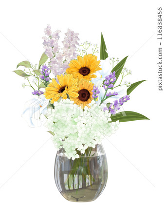 非洲菊切成一個玻璃花瓶 116838456