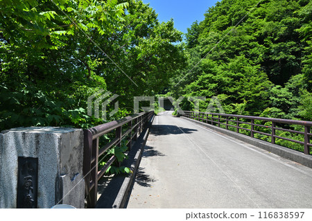 Daigenta Canyon: Scenery near the erosion control dam, Yuzawa Town, Niigata Prefecture Daigenta Canyon: Scenery near the erosion control dam, Yuzawa Town, Niigata Prefecture 116838597