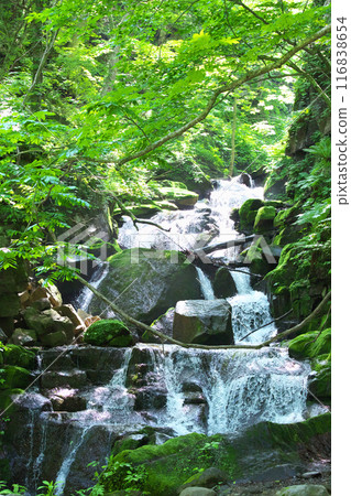 Oirase Gorge Flow 2 116838654