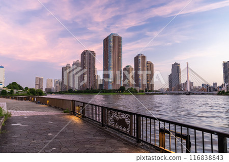 東京灣地區塔樓大廈的“東京”夜景 116838843