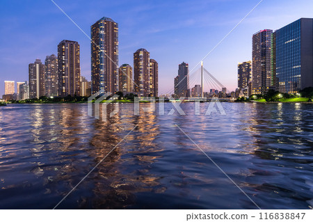 東京灣地區塔樓大廈的“東京”夜景 116838847