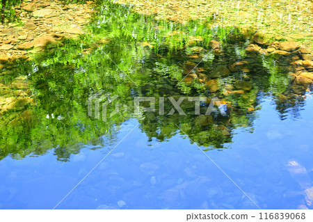 Crystal clear Daigenta River, mirror-like pattern on water, Yuzawa Town, Niigata Prefecture 116839068