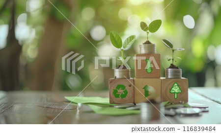Eco-Friendly Growth with Recycled Materials 116839484