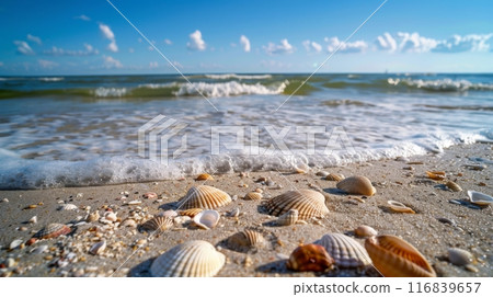 Seashells and Waves on Tranquil Beach 116839657
