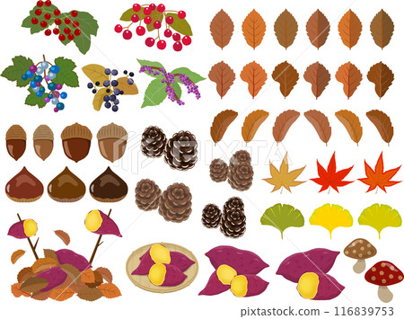 Autumn material set 116839753