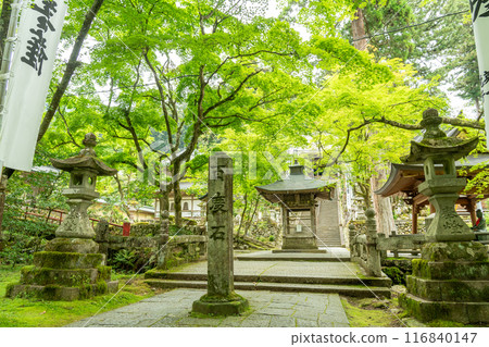 Ibigawa Town, Gifu Prefecture: Hyakudoishi stone on the approach to Kegonji Temple on Mount Yagumi, amidst fresh greenery 116840147
