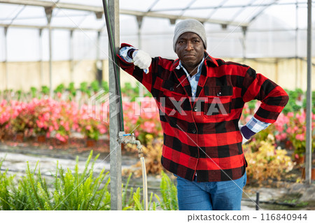 Portrait of gardener standing at the greenhouse 116840944