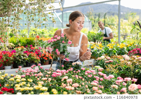 Girl walks through exhibition of ornamental plants, examines rose in showcase 116840978
