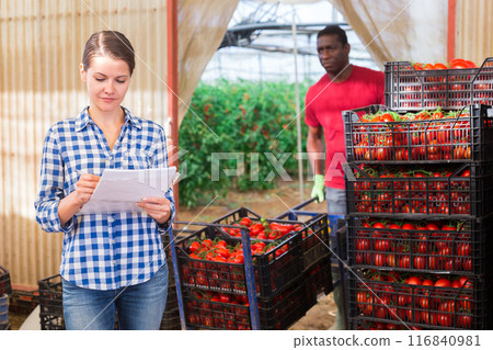 Woman greenhouse owner working with papers in vegetable warehouse 116840981