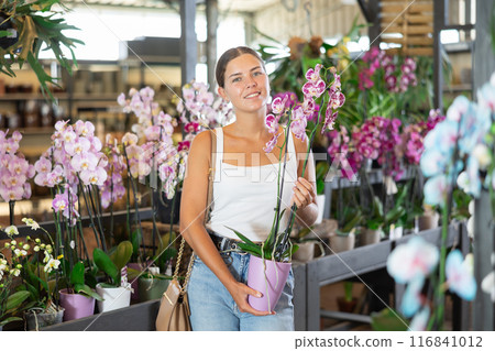 Girl walks through exhibition of ornamental plants, examines orchid in showcase Girl walks through exhibition of ornamental plants, examines orchid in showcase 116841012