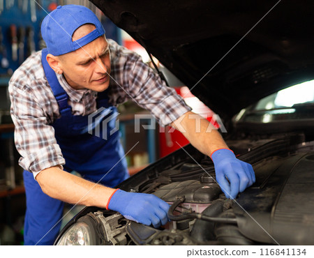 Car mechanic looking at open car hood for internal checking Car mechanic looking at open car hood for internal checking 116841134