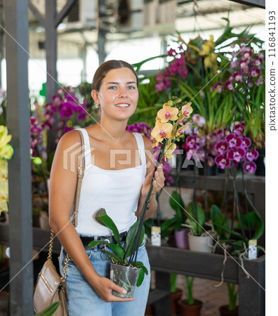 Young woman choosing orchid in pot 116841193