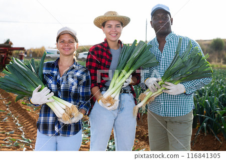 Proud farmers posing on leaf vegetables field Proud farmers posing on leaf vegetables field 116841305
