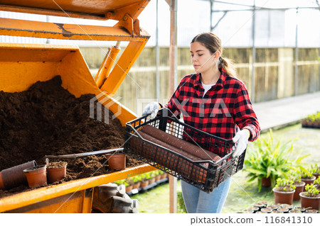 Woman farmer puts a soil in pots Woman farmer puts a soil in pots 116841310