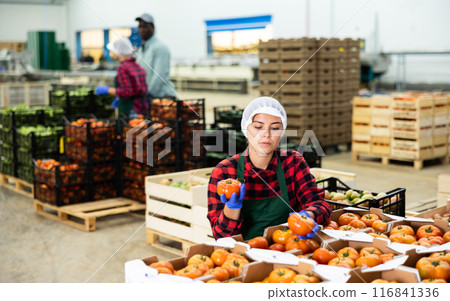 Girl in apron evaluating quality of vegetables in storage 116841336