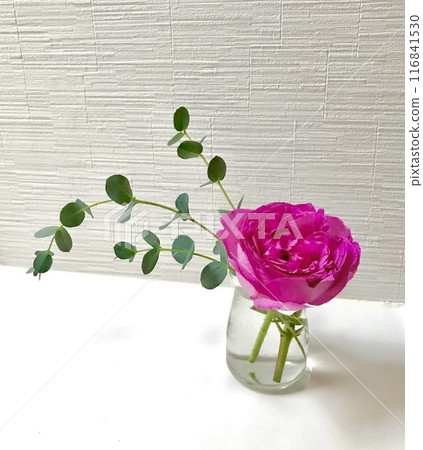 A small vase of roses and eucalyptus A small vase of roses and eucalyptus 116841530
