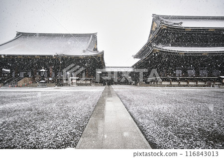 京都東本願寺雪景 116843013