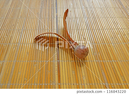 A mysterious fruit with two wings! Photos of rattan strawberries and dipterocarp fruits A mysterious fruit with two wings! Photos of rattan strawberries and dipterocarp fruits 116843220