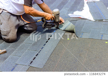 Installing new bitumen shingles on roof, construction worker used an air pneumatic nail gun 116843274
